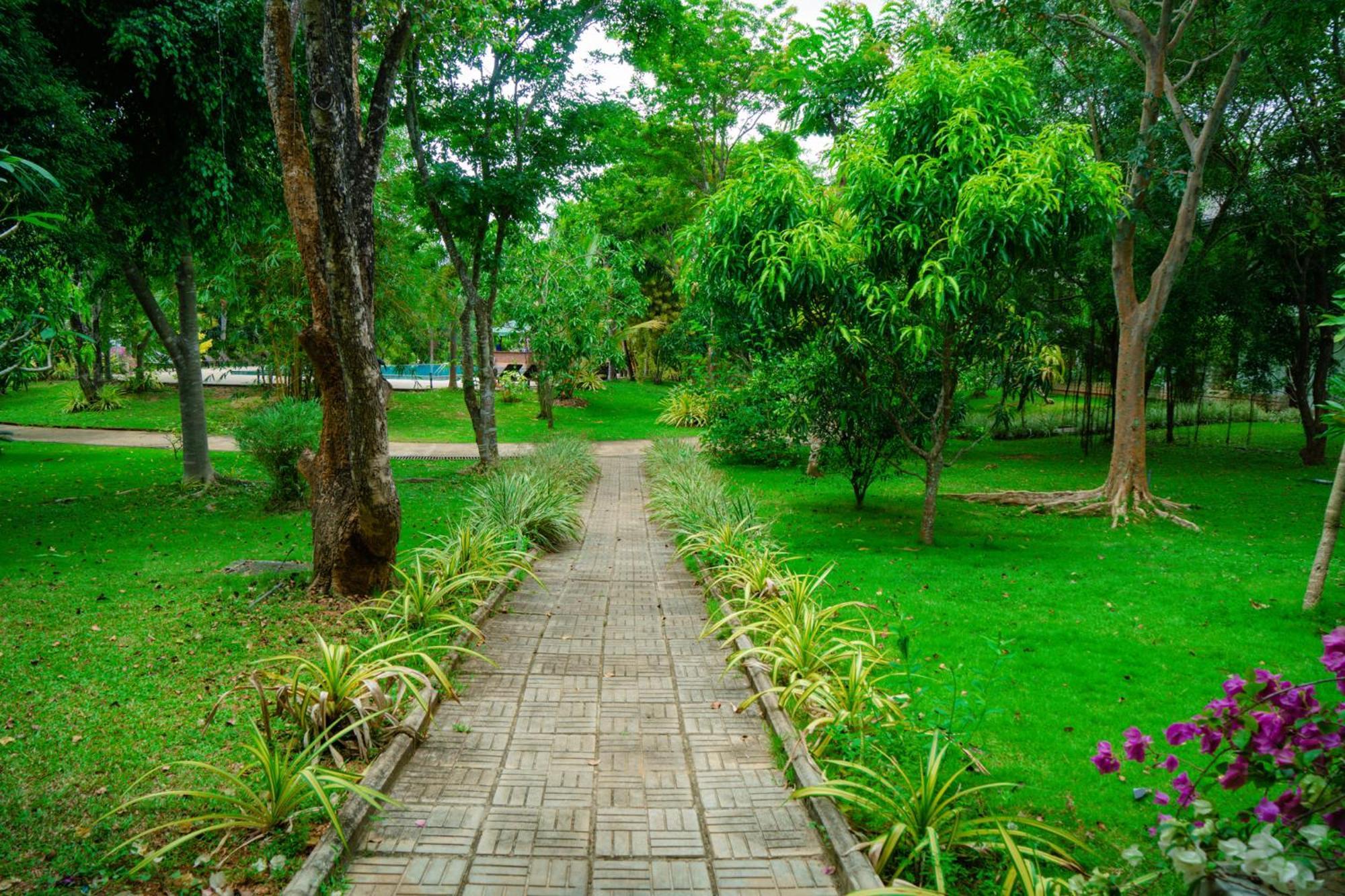 Sungreen Resort Habarana Εξωτερικό φωτογραφία