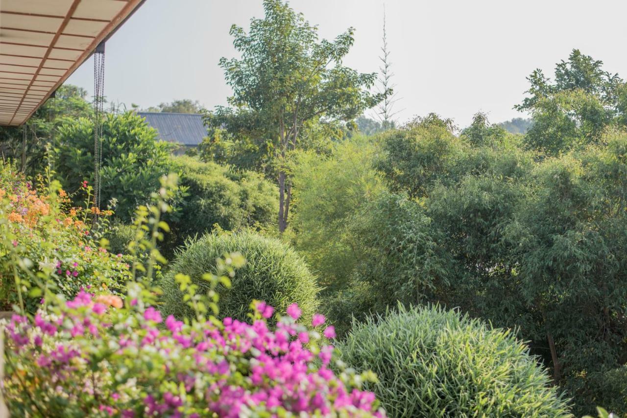 Sungreen Resort Habarana Εξωτερικό φωτογραφία